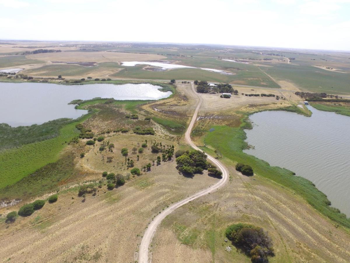 Coorong Island Retreat - Farm Stay At Pet Friendly Property Meningie Buitenkant foto