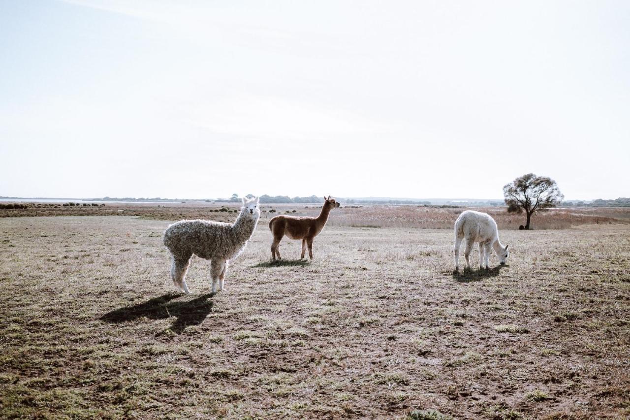 Coorong Island Retreat - Farm Stay At Pet Friendly Property Meningie Buitenkant foto