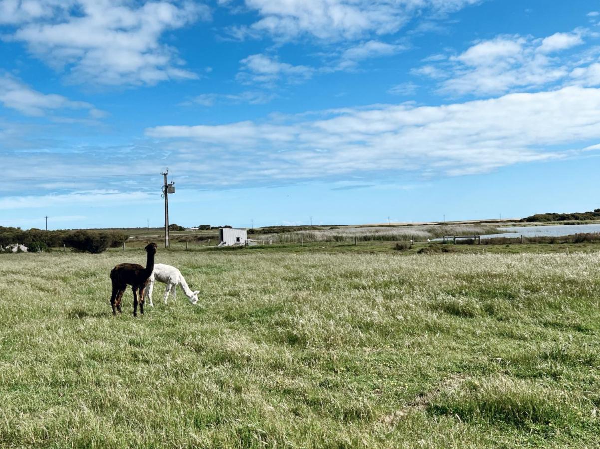 Coorong Island Retreat - Farm Stay At Pet Friendly Property Meningie Buitenkant foto