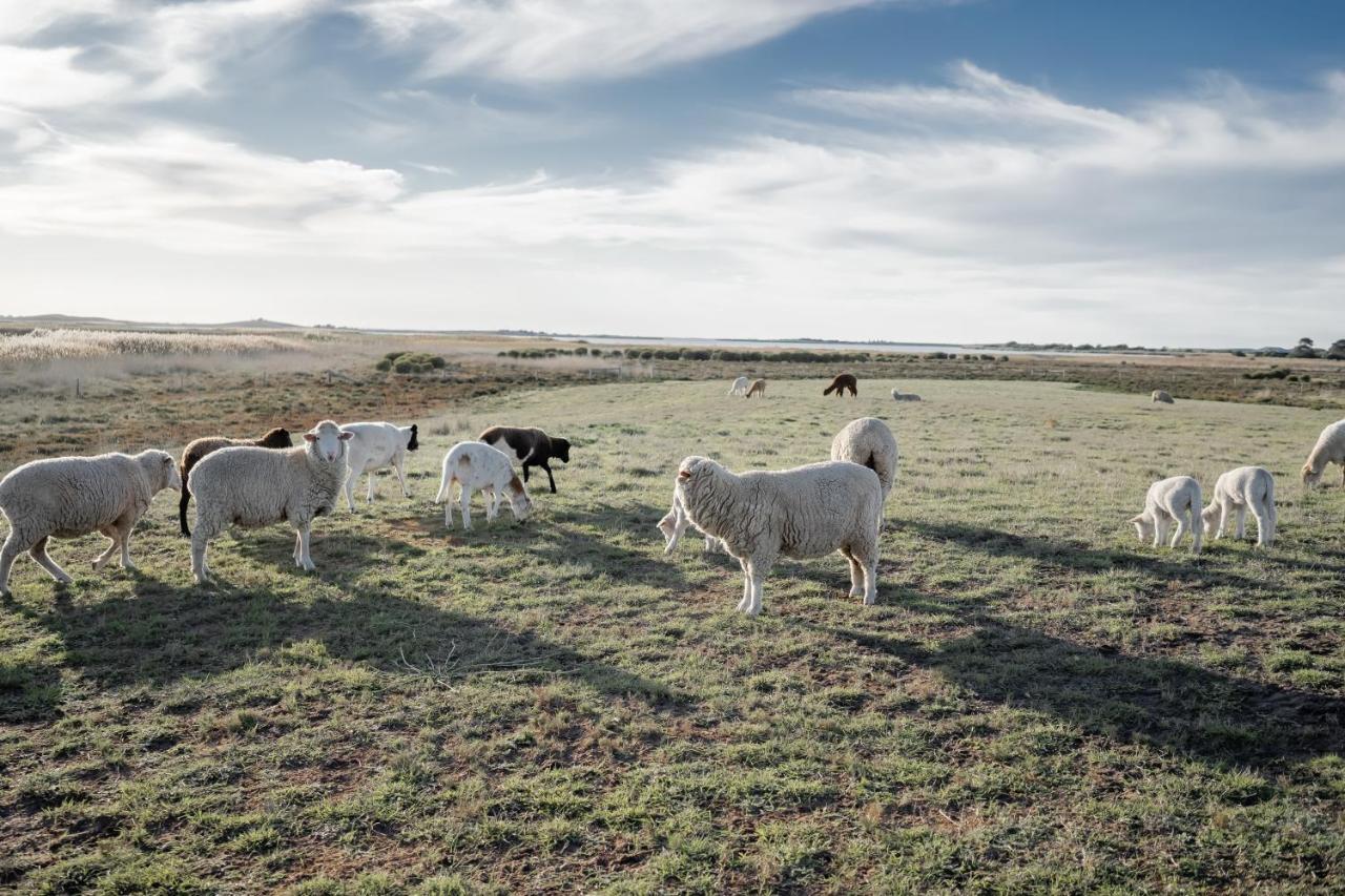 Coorong Island Retreat - Farm Stay At Pet Friendly Property Meningie Buitenkant foto