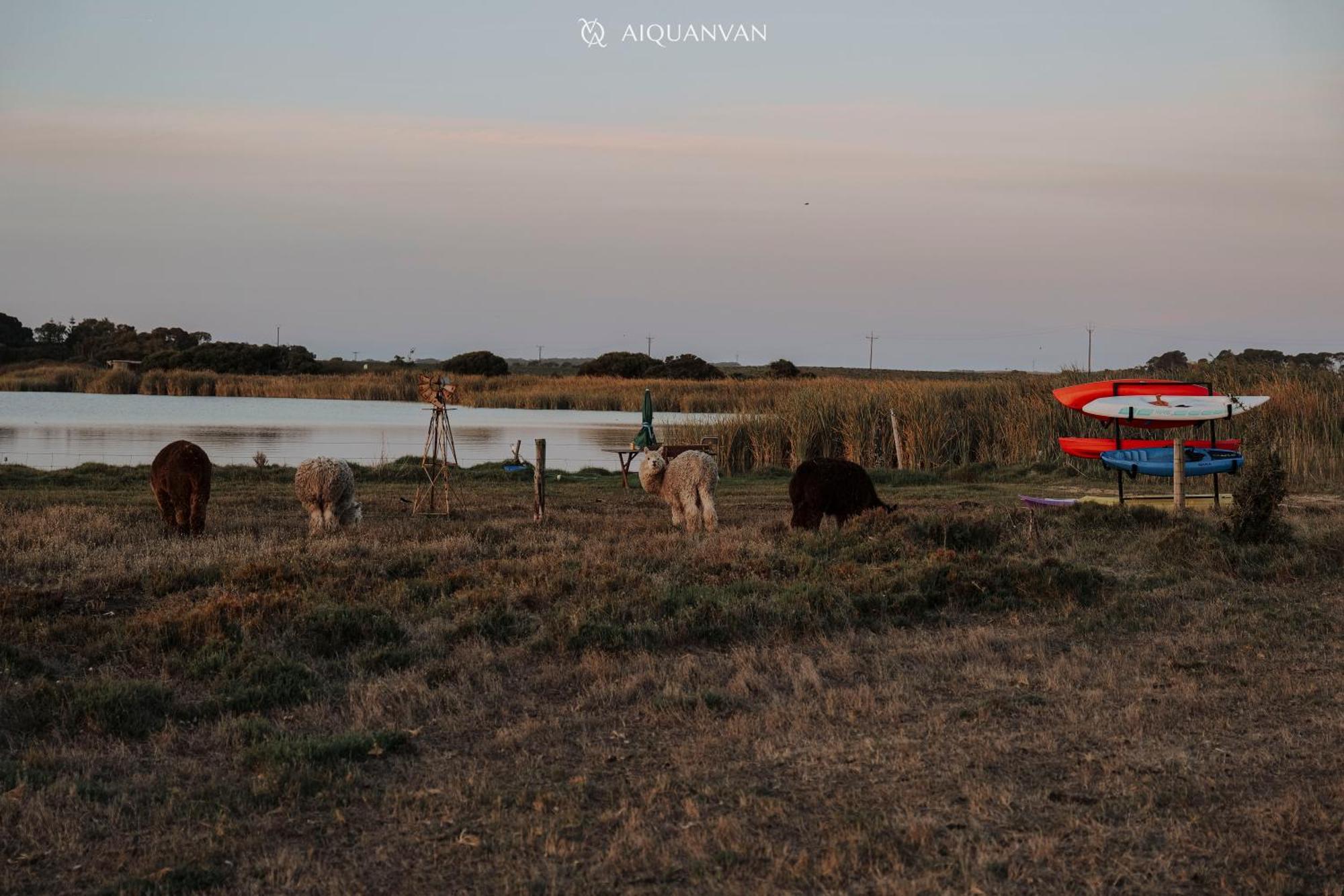 Coorong Island Retreat - Farm Stay At Pet Friendly Property Meningie Buitenkant foto